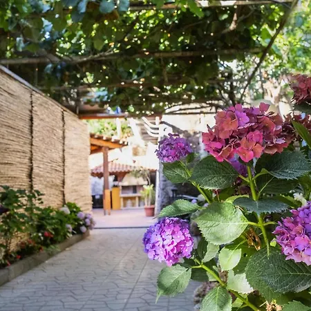 La Natura * Sorrente