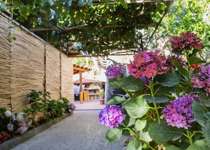 La Natura * Sorrento